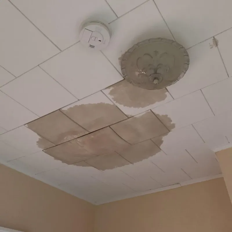 Ceiling Water Damage Repair in Eagle Butte, SD