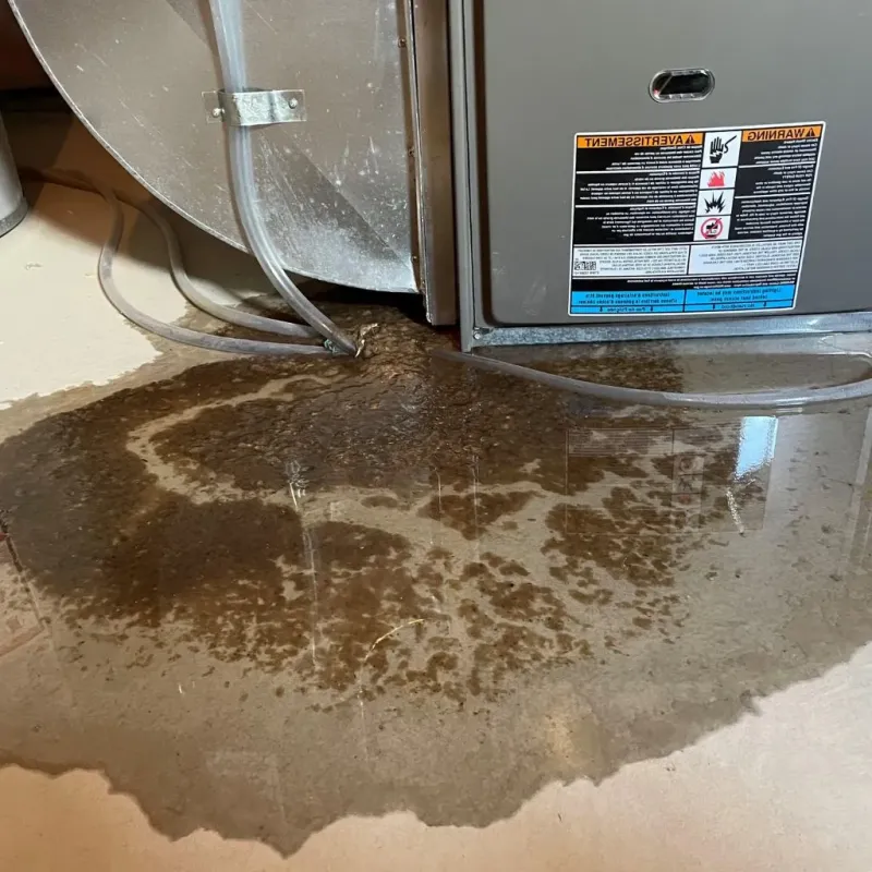 Pipe Burst and Leak Restoration in Eagle Butte, SD