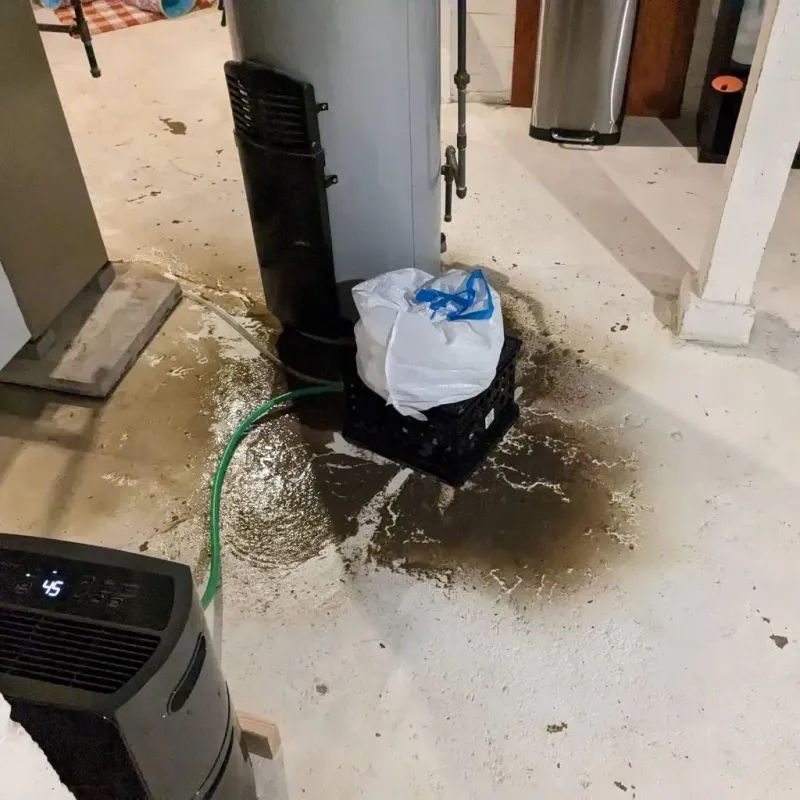 Sewage Backup Cleanup Service in Eagle Butte, SD